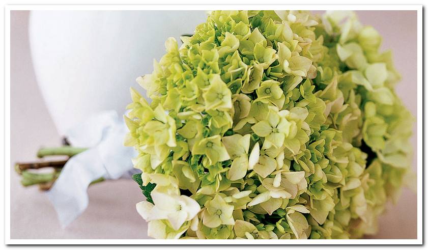 Hoa Cầm Tay Cô Dâu: Bí Mật Tạo Nên Vẻ Đẹp Rạng Ngời